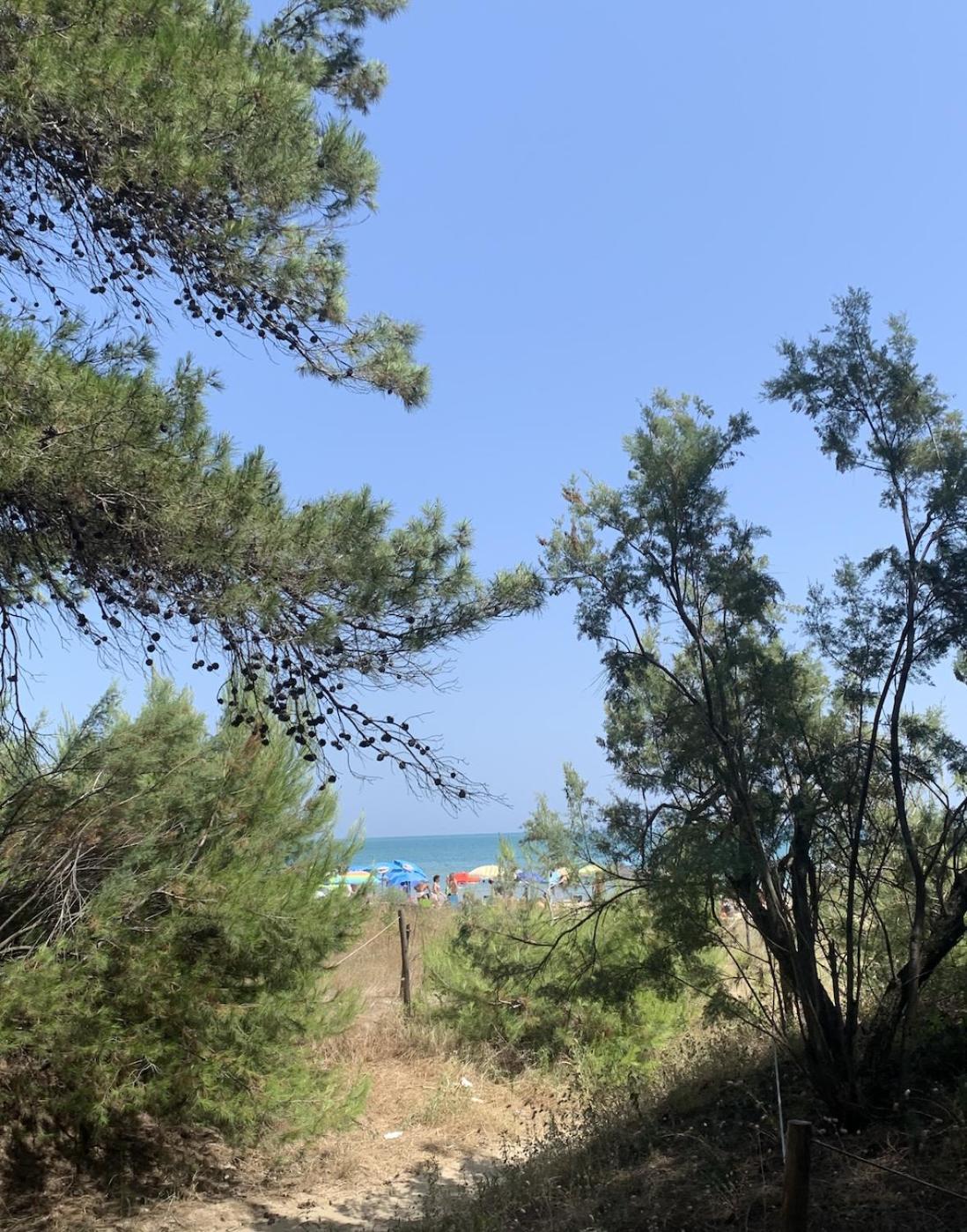 Alloggio Vista Mare - Parcheggio Gratis 피네토 외부 사진